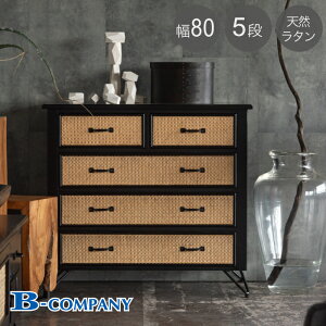 ^`FXg rO`FXg 80cm  ubN ^ [`FXg m[ RpNg o N[[bg [^X ^X [ `FXg rO Q ؍Ce