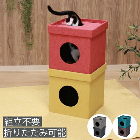 ペットハウス キューブ 2段 小型犬 小動物 おしゃれ 犬 猫 北欧 ペット用品 椅子 ペット用ソファー ペット家具 ペット用ベッド ペットインテリア 収納 折りたたみ ペットおもちゃ かわいい 布製 小さい シンプル ペット 完成品 53711 送料無料