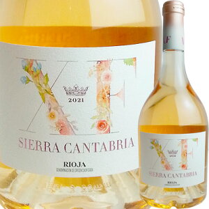 �V�G���E�J���^�u���A XF �G�L�X�E�G�t�F [2021] 8414581710005�y12001�z�y�X�y�C���z�y���[���C���z�yR704�z�ySP18�z