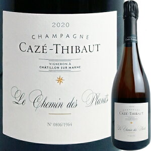 J[EeB{[ V}EfEv [2020] 600985y60003zytXzyVpzyR710zyF1z