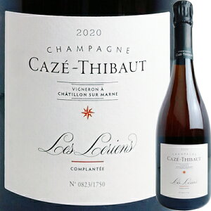 J[EeB{[ A [2020] 600990y60003zytXzyVpzyR710zyF1z