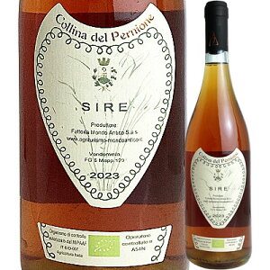 �t�@�b�g���A�E�����h�E�A���e�B�R �V�� [2023] 4582565780840�y12001�z�y�C�^���A�z�y�����C���z�y�I�����W���C���z�yR710�z�yIT25�z