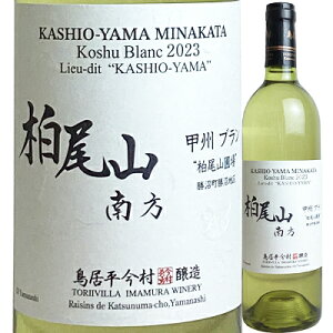 Vg[  R bBu Rޏ [2023] 4941495300908y05001zy{zyCzyR610zyJ20z