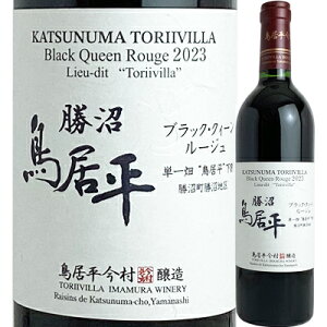 Vg[   ubNENC[[W Pꔨ gh  [2023] 4941495300892y05001zy{zyԃCzyR701zyJ20z