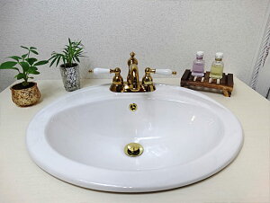 yVLO1ʊl ʃ{E ߍ݌^ 傫 傫 570 tH[   퐻 I[o[JE^[ I[o ȉ~ Op 57cm INK-0401019H