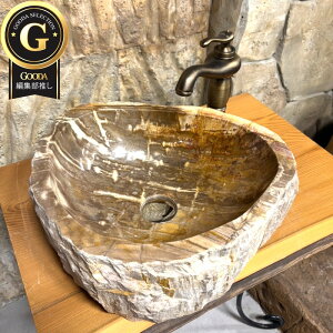 ʃ{E ] Petri Fied Wood ؉ VR E `[N ChlVA nhCh _ Md uE x[W 2_Zbg 44cm petrifiedwood-514 