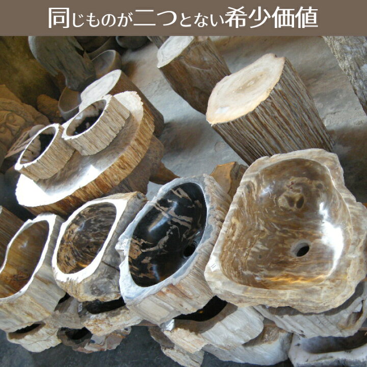 楽天市場】洗面ボウル 珪化木 Petri Fied Wood 木化石 天然石 ウリン 