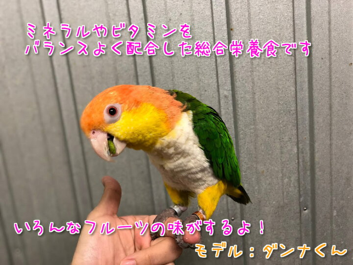 楽天市場】賞味期限:2025/10 ZuPreem ズプリーム フルーツブレンド 