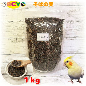 ΂̎ 1kg a V[h GT   g CR IE e p Pi t[h ͂ ̎ \o̎