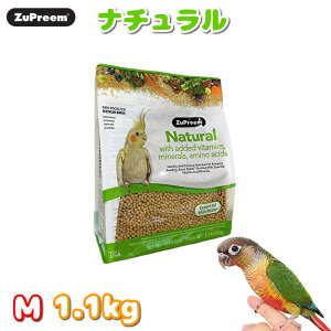 �y�����i�͓��{��\�L�ł��z�ܖ�����:2026/2 �y���K�i�zZuPreem �Y�v���[�� �i�`������ M 1.1kg �� �t�[�h �y���b�g �C���R �I�E�� �a ����