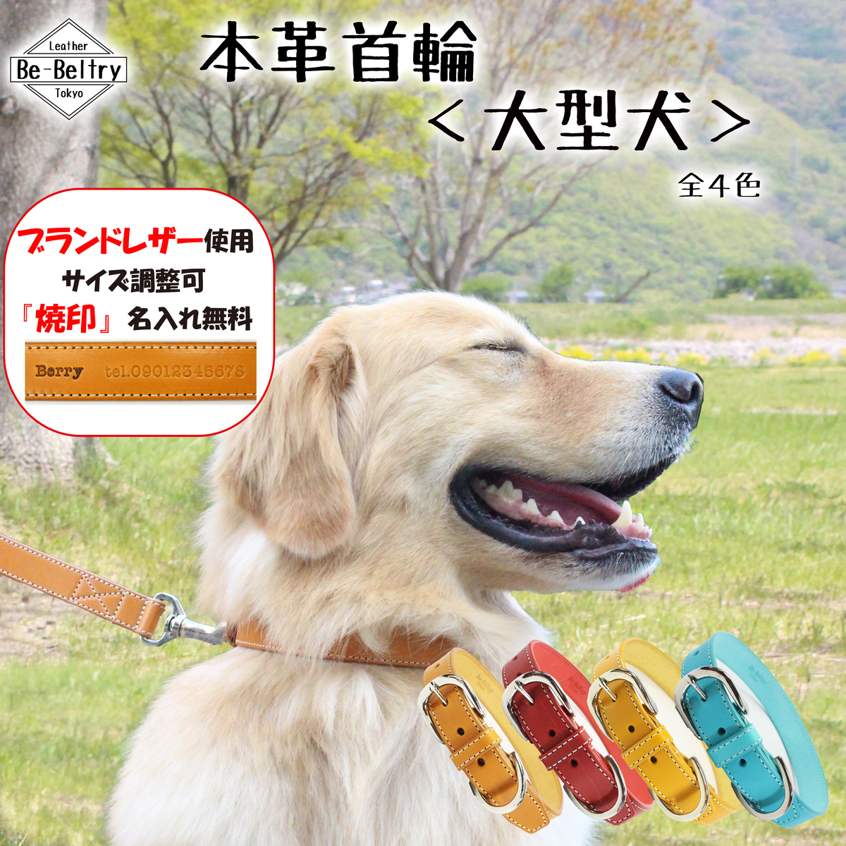 犬 首輪 高級 水色 革の人気商品・通販・価格比較 - 価格.com