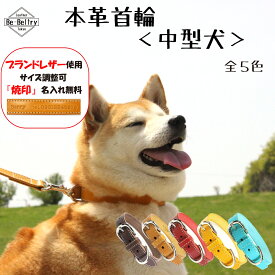 中型犬 犬 首輪 名入れ 迷子刻印 本革 ギフト 犬用 幅21mm 赤 青 黄 キャメル チョコ色 首回り28~46cm対応 サイズ調整可 余剰ベルト止め付属 栃木・姫路レザー社製 高級ヌメ革 送料無料 ターコイズブルー 水色 マスタードイエロー