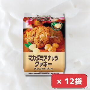 }Jf~AibcNbL[ 8 × 12 1 ܂Ƃߔ