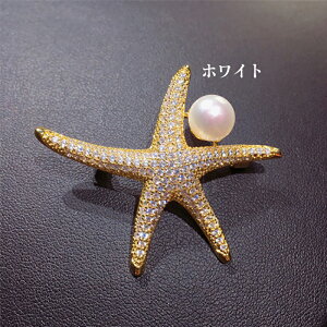 u}\ vYȃqgf _ChRT[WfB[X^u[`av[g  lC ޏ  蕨 jp W^ sAX ANZT[ spi 