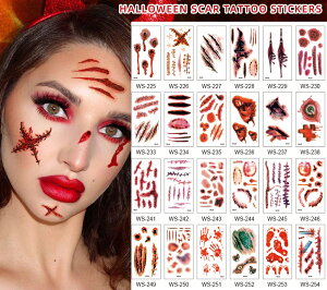 nEB ^gD[V[ 30Zbg {fB[V[ h  ȒPɓ\ ꃁCN  CN D ؂菝 ~ hXebJ[ nEB V[ LYV[ ]rCN