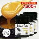 【期間限定★お買い物マラソンセール】マヌカハニー UMF10+ MGO263 相当 250g 3個セット ハニーバレー スーパーフード 送料無料 ニュージーラン...