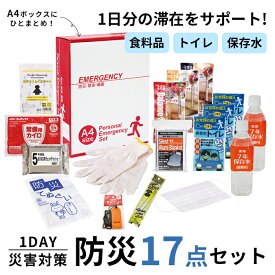 1DAY災害対策17点セット SB-40エピオス 1人用 防災グッズ 防災用品 持ち出し袋 非常持ち出し袋 防災用品 避難セット 防災リュック 地震 オフィス備蓄 避難袋 地震対策 非常袋 非常用品 避難リュック A4サイズ 省スペース