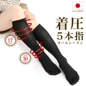 _11/2̓^Cc̓I20OFF LON[|zz^\bNX 5{w {  Rbg {  NԒ fB[X nC\bNX C \bNX   ₦΍ GAR N