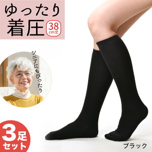 y3Zbgz \bNX nC\bNX  fB[X { C ėp  ӂ͂    ނ N~  Ђ G p AQ rX^C GAhG