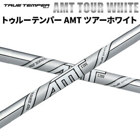 トゥルーテンパー AMT ツアーホワイト True Temper アイアンシャフト スチール