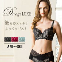 楽天市場】エルローズ ディヴァージュ ブラの通販