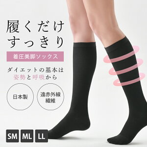 yN[|5%OFFz _|Cg5{11/4 20:00 ` 11/11 23:59^ Be-fit RT|[g r\bNX 2g \bNX C ނ  fB[X ␳ { ԊO ₦