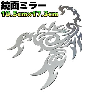 gCoXebJ[ XR[sIB oCN  AEghA h Xm{ T[tB T\   17cm×10.5cm ʃbL Vo[~[