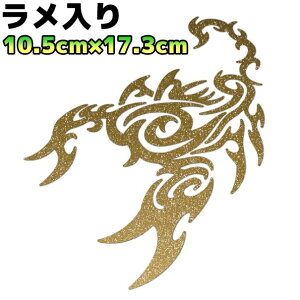 gCoXebJ[ XR[sIB oCN  AEghA h Xm{ T[tB T\   17cm×10.5cm S[h