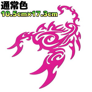 gCoXebJ[ XR[sIB oCN  AEghA h Xm{ T[tB T\   17cm×10.5cm zbgsN