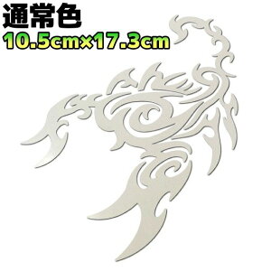 gCoXebJ[ XR[sIB oCN  AEghA h Xm{ T[tB T\   17cm×10.5cm zCg