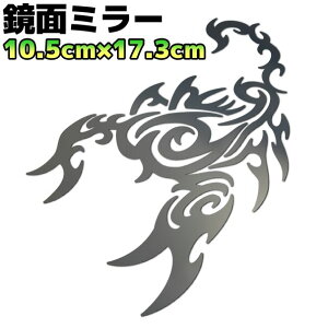 gCoXebJ[ XR[sIB oCN  AEghA h Xm{ T[tB T\   17cm×10.5cm ʃbL K^~[