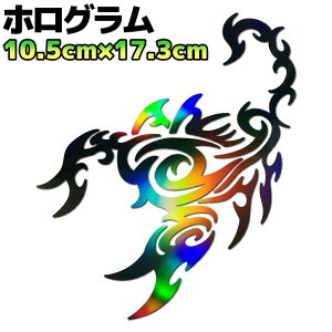 gCoXebJ[ XR[sIB oCN  AEghA h Xm{ T[tB T\   17cm×10.5cm zOubN