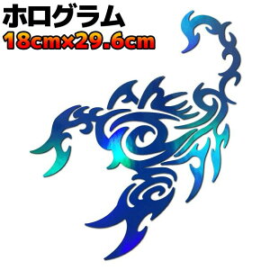 y傫TCYzgCo JbeBOXebJ[ XR[sIB ]  Xm[{[h T[t{[h h AEghA T\   29.6cm×18cm zOu[