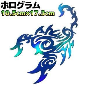 gCoXebJ[ XR[sIB oCN  AEghA h Xm{ T[tB T\   17cm×10.5cm zOu[