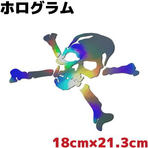  hNXebJ[ XJC 傫 18cm×21.3cm Vo[zO C{[ ϐV[ Xm[{[h AEghA