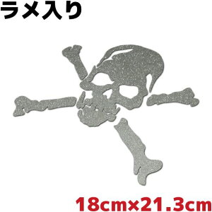 LL XJXebJ[ hNC 傫 18cm×21.3cm Vo[  Xm[{[h AEghA