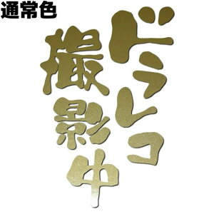 ԗp hRBeXebJ[ 10cm×15cm ʏF F S[h^bN ] ^] h ZLeB hCuR[_[ REC