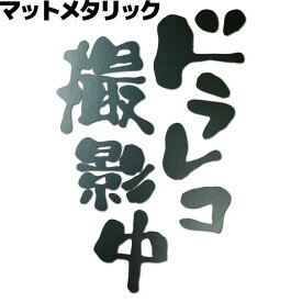 楽天市場 車 イタズラ 防止 ドライブ レコーダーの通販