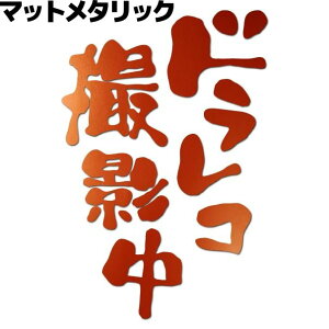 ԗpuhRBevhXebJ[V[10cm×15cm IW^bN hCuR[_[  ^]h~ h  ڎԗ