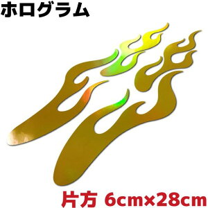 t@C[p^[XebJ[ tCC Е6cm×28cm S[hzO  oCN Xm[{[h T[tB AEghA h  JbR