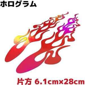 t@C[p^[XebJ[ tCB Е6.1cm×28cm bhzO  oCN Xm[{[h T[tB AEghA h  JbR