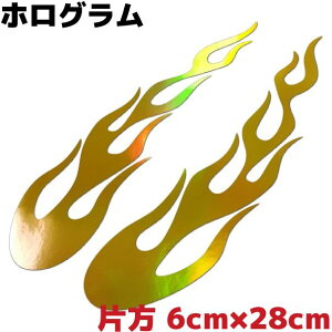 t@C[p^[XebJ[ tCE Е6cm×28cm S[hzO  oCN Xm[{[h T[tB AEghA h  JbR