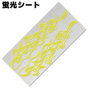 t@C[p^[XebJ[ tCB sXgCv uCG[ JbeBO  ] TCh fJ[  oCN ^N V[ ϐ h EZbg Е6.5cm×28.2cm