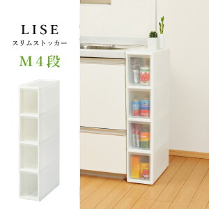 yz [{bNX 18cm X XgbJ[ MI4i ^Cv LX^[ / 18cm s40cm 85cm/ Lb` @ TCh Ȃǂ̃XL}ɓ [P[X Z {