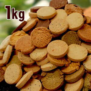 gvZERONbL[@NbL[ wV[XC[c _CGbgNbL[  sgp sgp sgp u Ăَq r[hbg{ r[{ B.LABO q