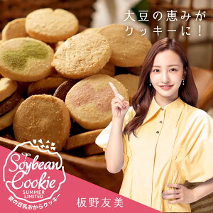 夏の豆乳おからクッキー 送料無料 訳あり おからクッキー ヘルシースイーツ ダイエット 大容量 季節限定 焼き菓子 ビーラボ B.LABO 蒲屋忠兵衛商店