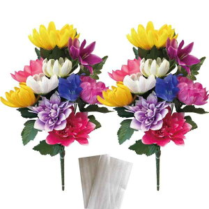  ͂Ȃ y   z  p  dp  d d 2g Ver.ml-y