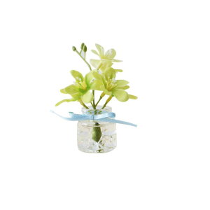 G߂̏ 12 ͂Ȃ  킢  茳{ ybg{ɂ