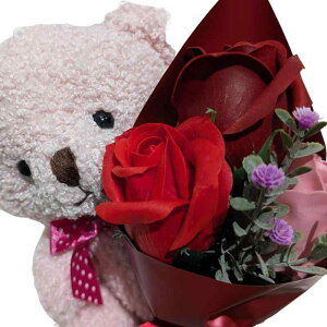 L[t(Q-FLA) \[vt[   ʂ u[P KN v[g Mtg efBxA xA