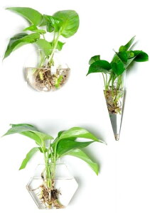 MedianField y KX ԕr 3 tbN Zbg zǊ| ~j ֑}  A GAvc AeB[N G T{e CeA NX^  K[fjO ( Zp )